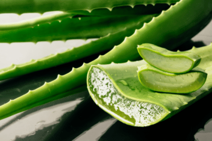Why Aloe Vera is Good for Your Skin