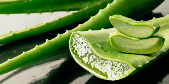 Does Aloe Vera Have Any Side Effects?